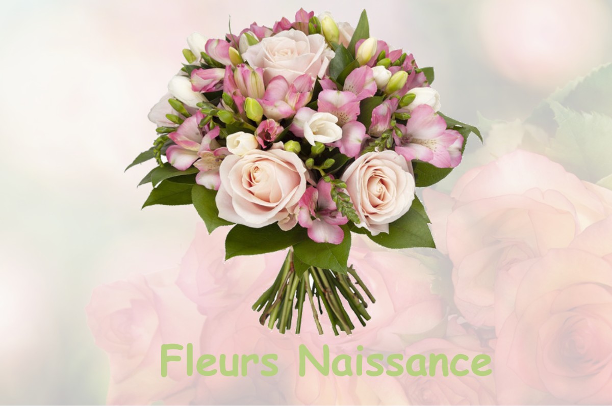 fleurs naissance VERQUIERES