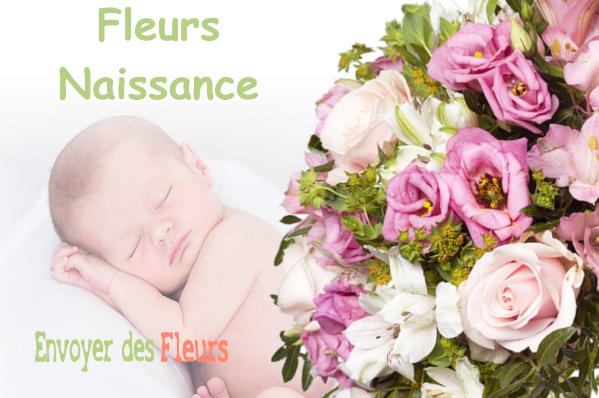 lIVRAISON FLEURS NAISSANCE à VERQUIERES